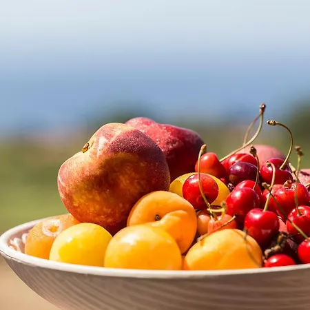La Campagnola Capo Vaticano